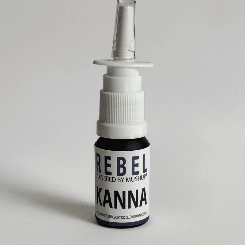 Sklep 12 REBEL Kanna ( Focus) Powered by MUSHUP® - 10ml