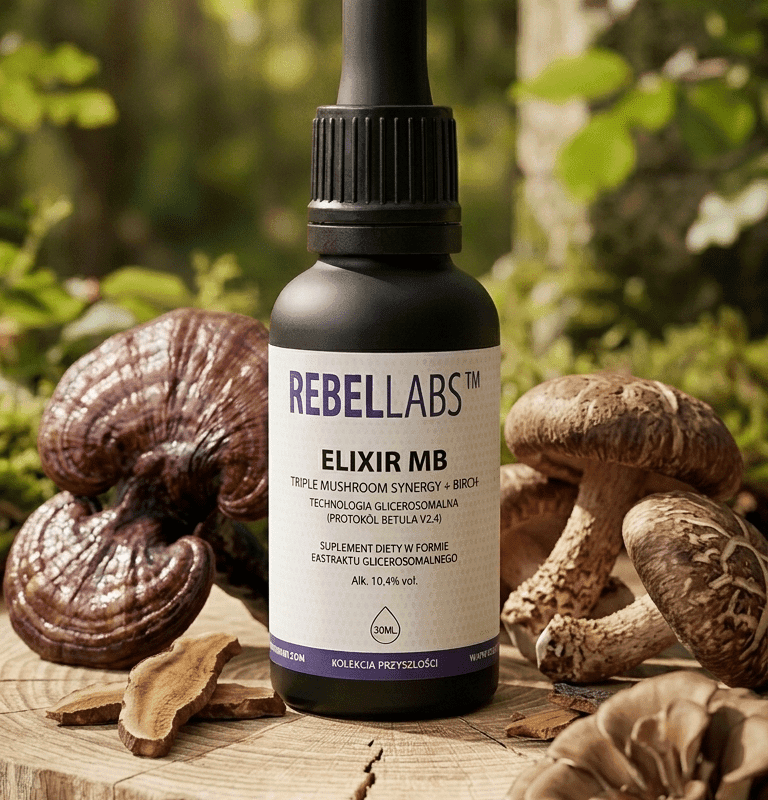 Elixir MB (Reishi, Shiitake, Maitake+ Birch) – Kompleksowa immunopotencjalizacja